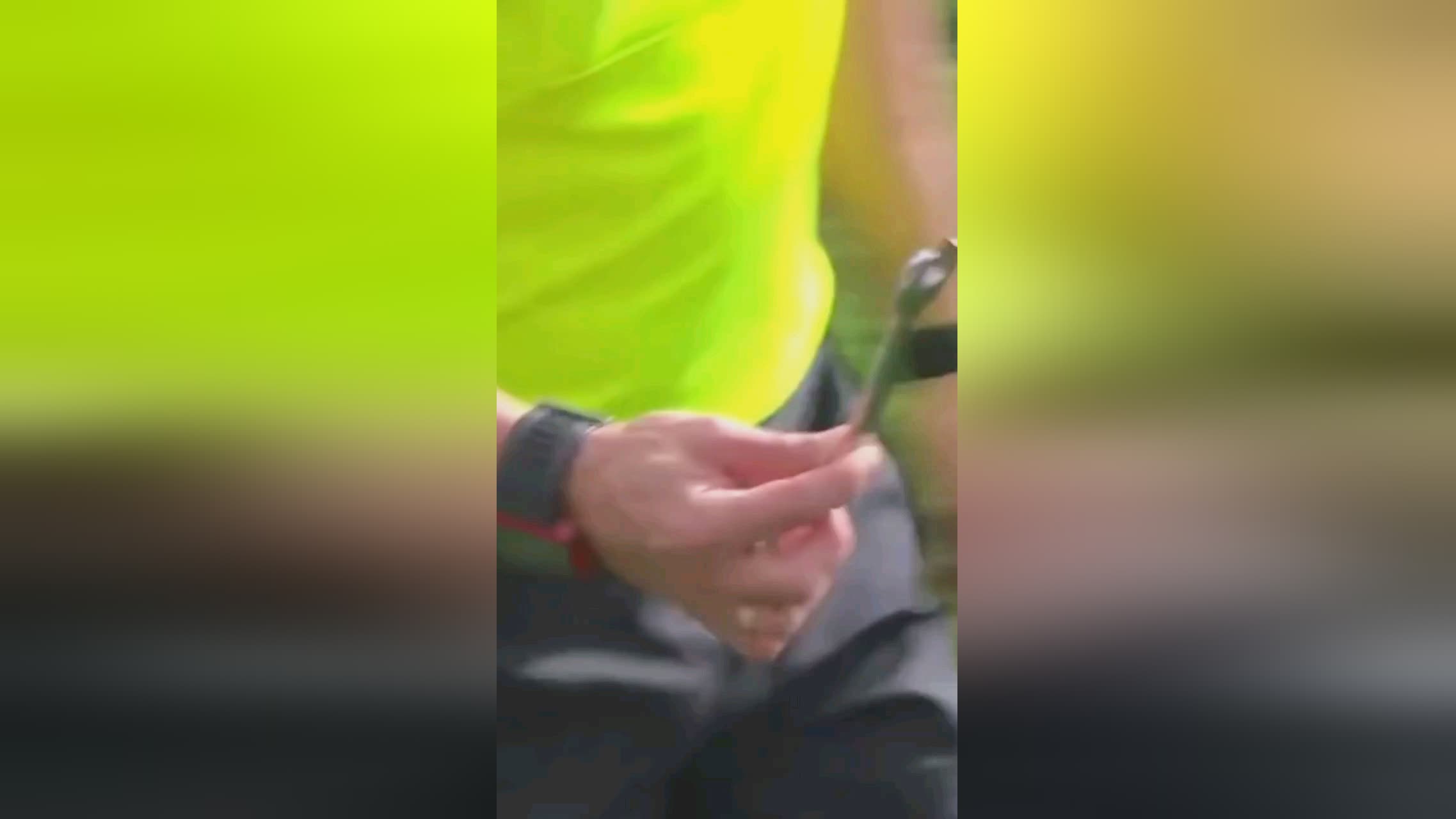 的优势
